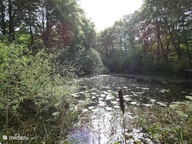 Location de Vacances Pays-Bas, Groningue, Marum, cabane en bois / lodge - Maison forestière n° 14