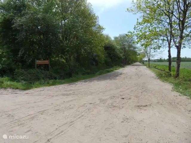 Location de Vacances Pays-Bas, Groningue, Marum, cabane en bois / lodge - Maison forestière n° 14