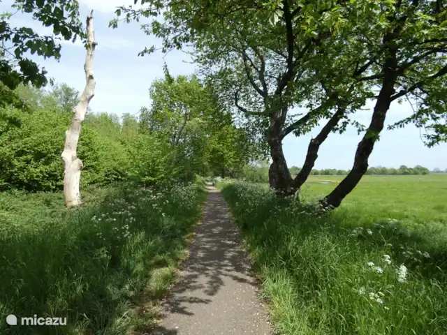 Location de Vacances Pays-Bas, Groningue, Marum, cabane en bois / lodge - Maison forestière n° 14