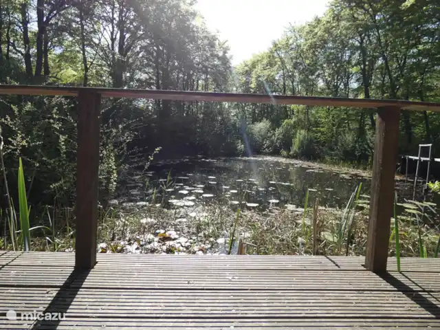 Location de Vacances Pays-Bas, Groningue, Marum, cabane en bois / lodge - Maison forestière n° 14