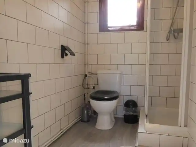 vakantiehuis huren in Nederland, Groningen, Marum – Boshuisje nr 21