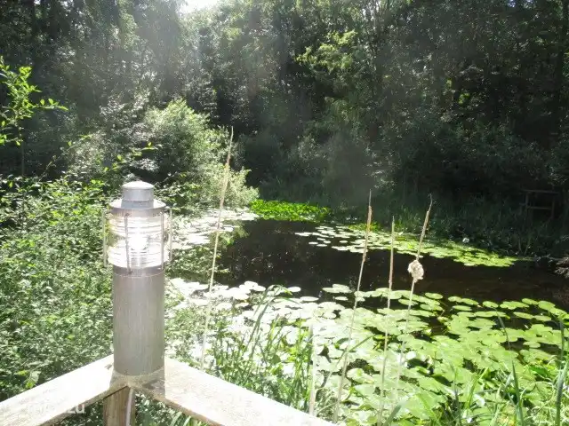 vakantiehuis huren in Nederland, Groningen, Marum – Boshuisje nr 21