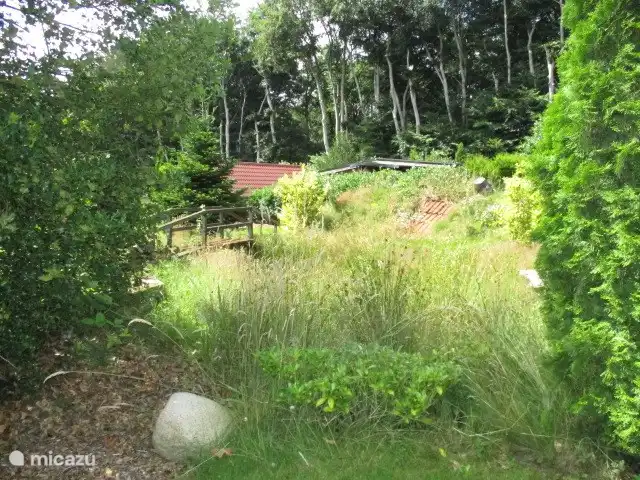 vakantiehuis huren in Nederland, Groningen, Marum – Boshuisje nr 21