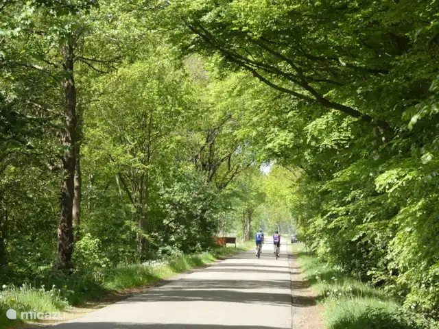 vakantiehuis huren in Nederland, Groningen, Marum – Boshuisje nr 21