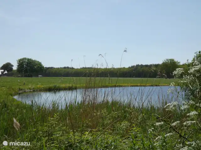 vakantiehuis huren in Nederland, Groningen, Marum – Boshuisje nr 21