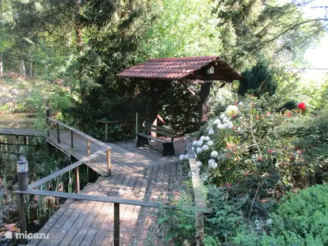 Siège au bord de l'étang