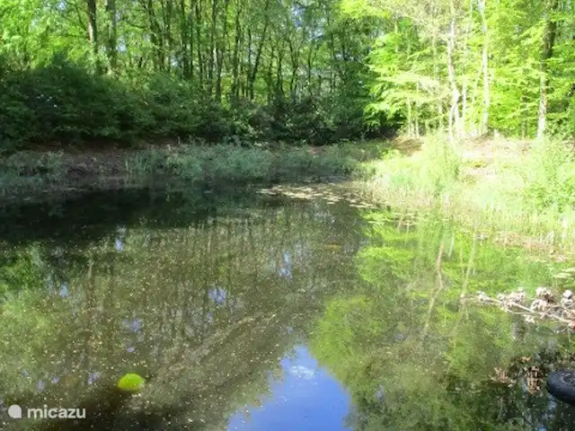 Location de Vacances Pays-Bas, Groningue, Marum, chalet - Maison forestière n° 10