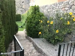 Jardin autour de la piscine