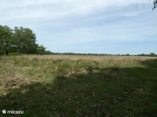 Location de Vacances Pays-Bas, Groningue, Marum, chalet - Maison forestière n° 17