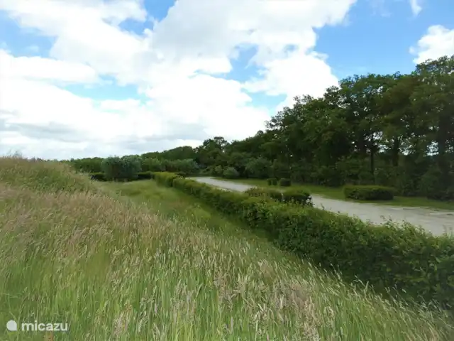 Location de Vacances Pays-Bas, Groningue, Marum, chalet - Maison forestière n° 17