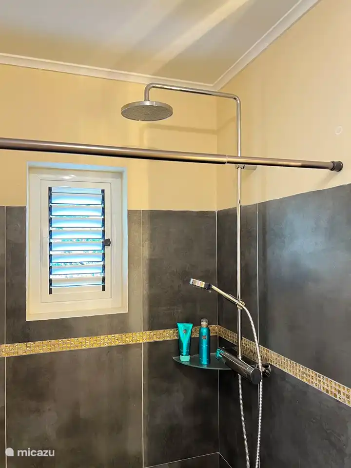 cuarto de baño dormitorio principal