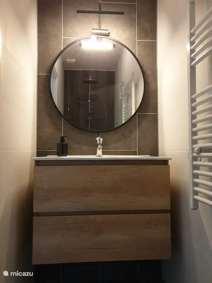 The bathroom Huisje Holten