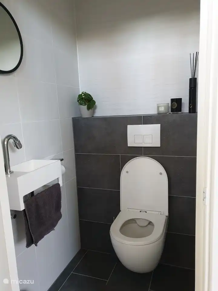 Toilet in Huisje Holten