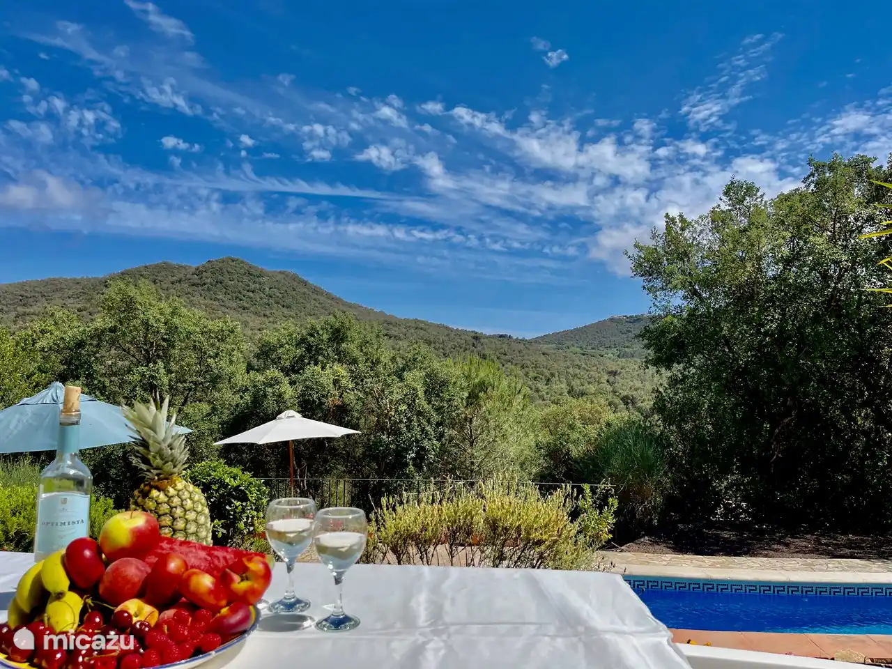 View from the terrace