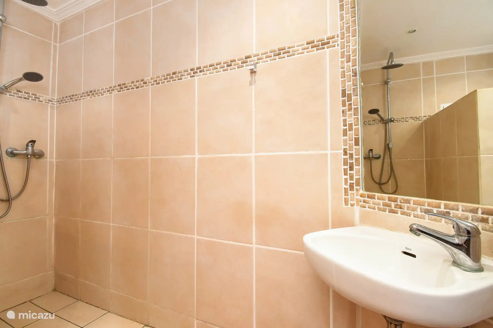 kleine badkamer met douche en toilet