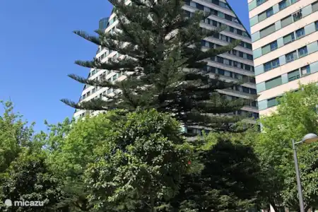 Valencia