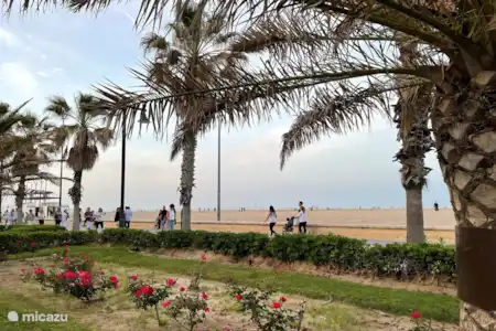 Valencia