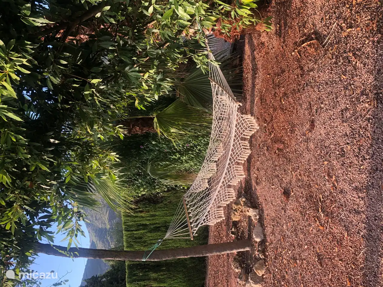 Disfruta de un momento de descanso en la hamaca