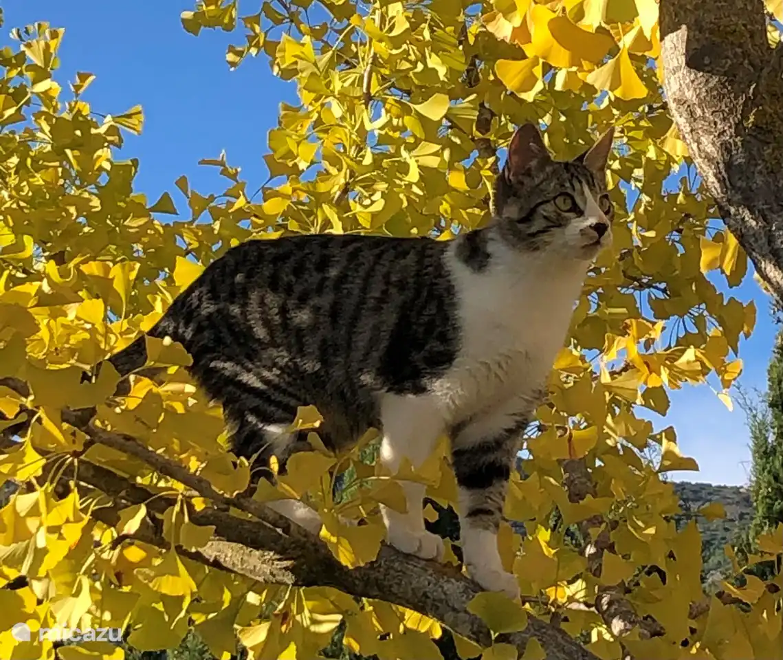 Nuestra resaca Costa