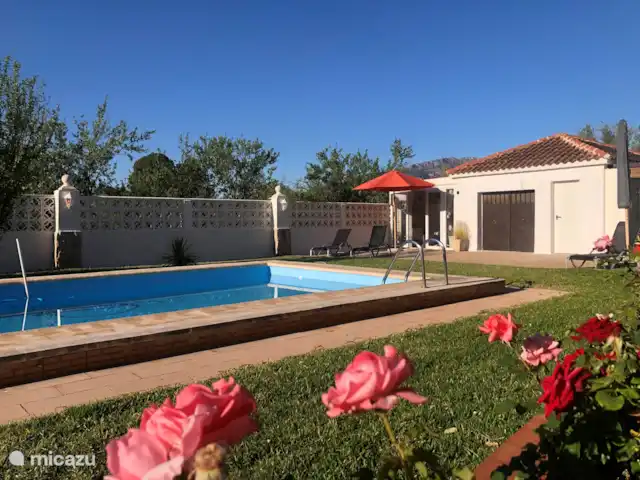 Location de Vacances Espagne, Costa Blanca, Gaianes, chambres d'hôtes -  Spa de Regina La terrasse ensoleillée