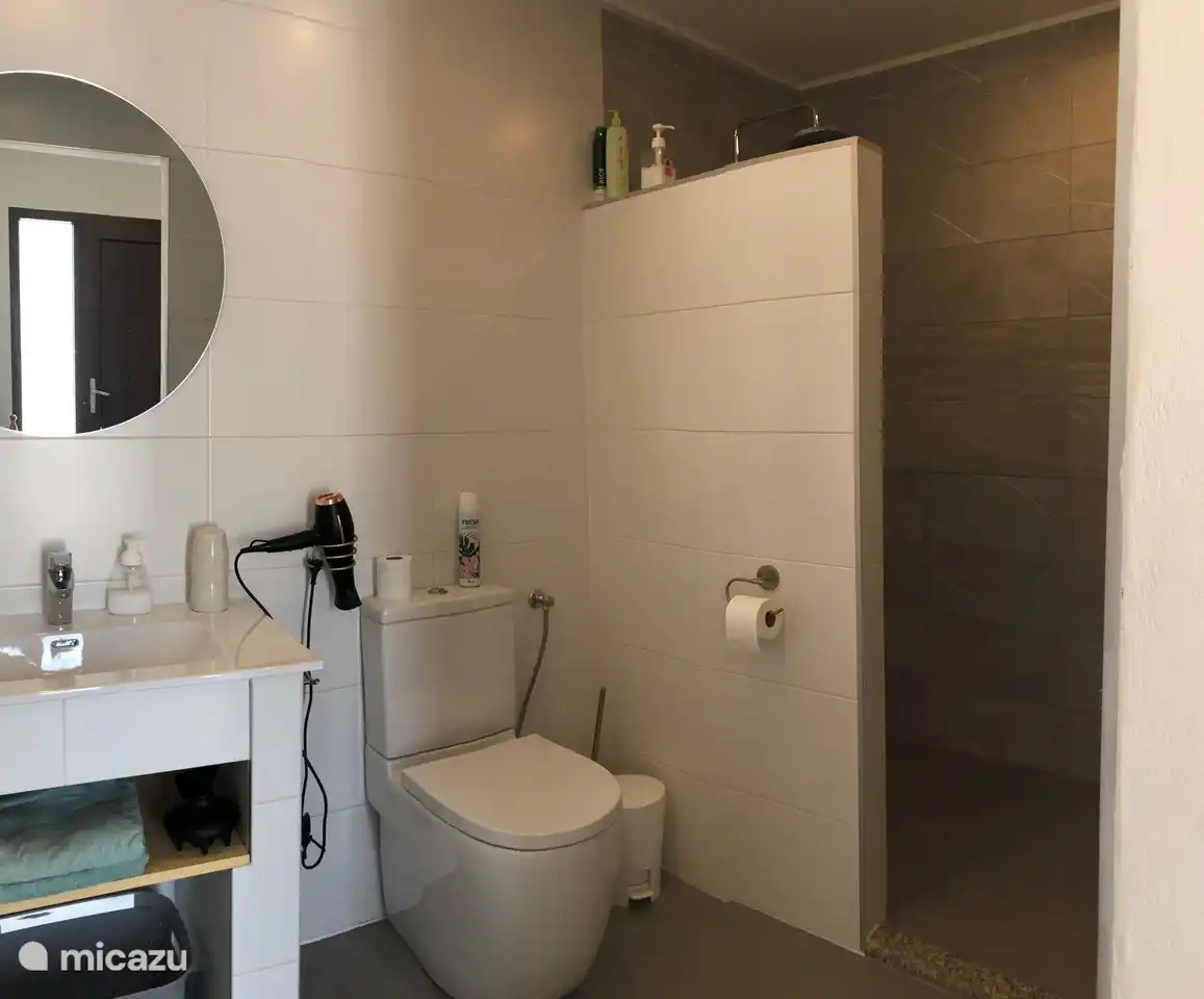 Baño con plato de ducha