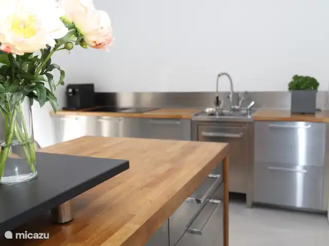 Centre des monuments nationaux Harlingen | Pays-Bas, Frise, Harlingen - maison de ville Cuisine avec lave-vaisselle, grand réfrigérateur, congélateur, cuisinière et micro-ondes combiné
