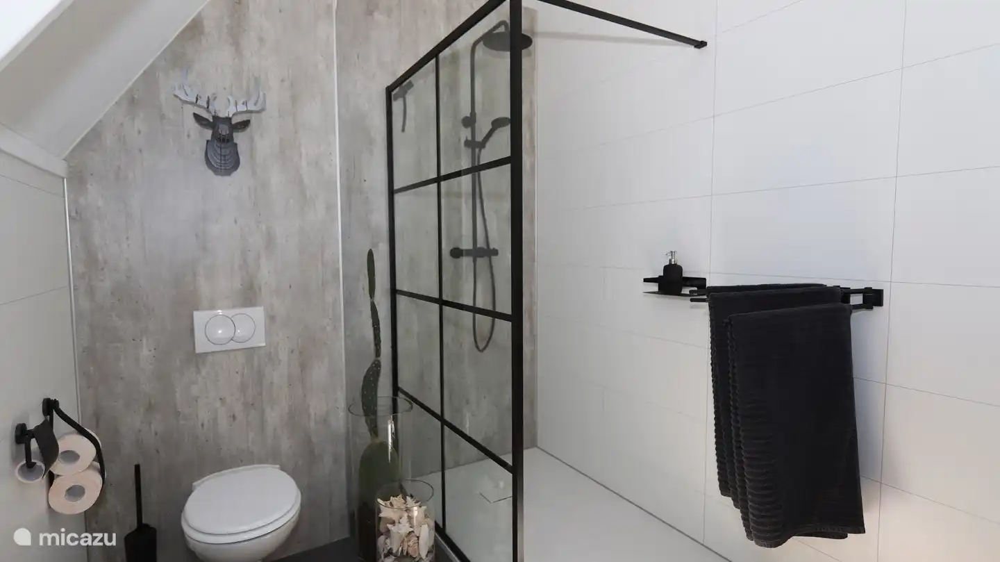 Badezimmer mit Toilette, Dusche und Waschbecken