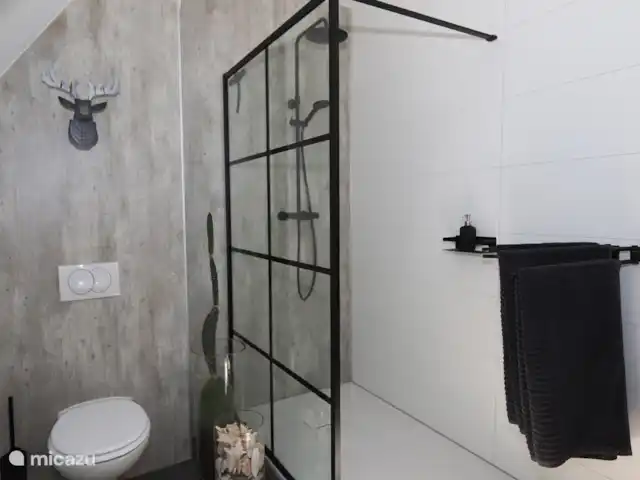 Centre des monuments nationaux Harlingen | Pays-Bas, Frise, Harlingen - maison de ville Salle de bain avec WC, douche et lavabo