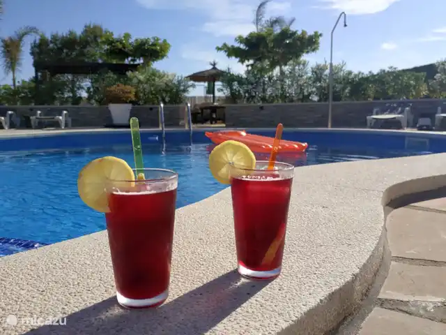 Casa El Toro Rojo | Espagne, Costa Dorada, L'Ametlla de Mar - maison de vacances Tinto de Verano, une boisson espagnole merveilleusement rafraîchissante au bord de la piscine.