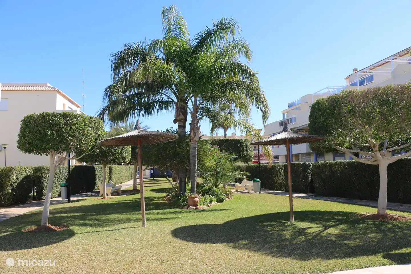 Gemeinsamer Garten innerhalb des Apartmentkomplexes