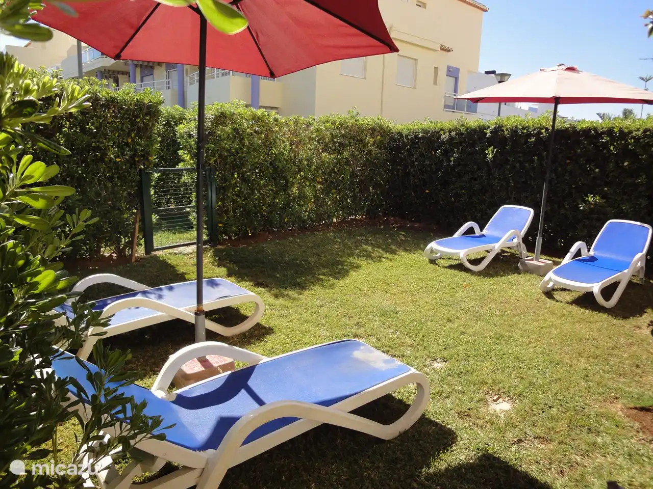 Der Garten mit Sonnenliegen