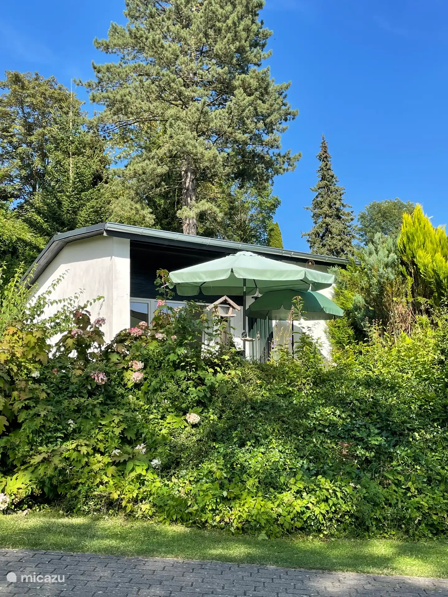 Location de Vacances Rhénanie-du-Nord-Westphalie, Allemagne, bungalow - Chalet Dalzicht