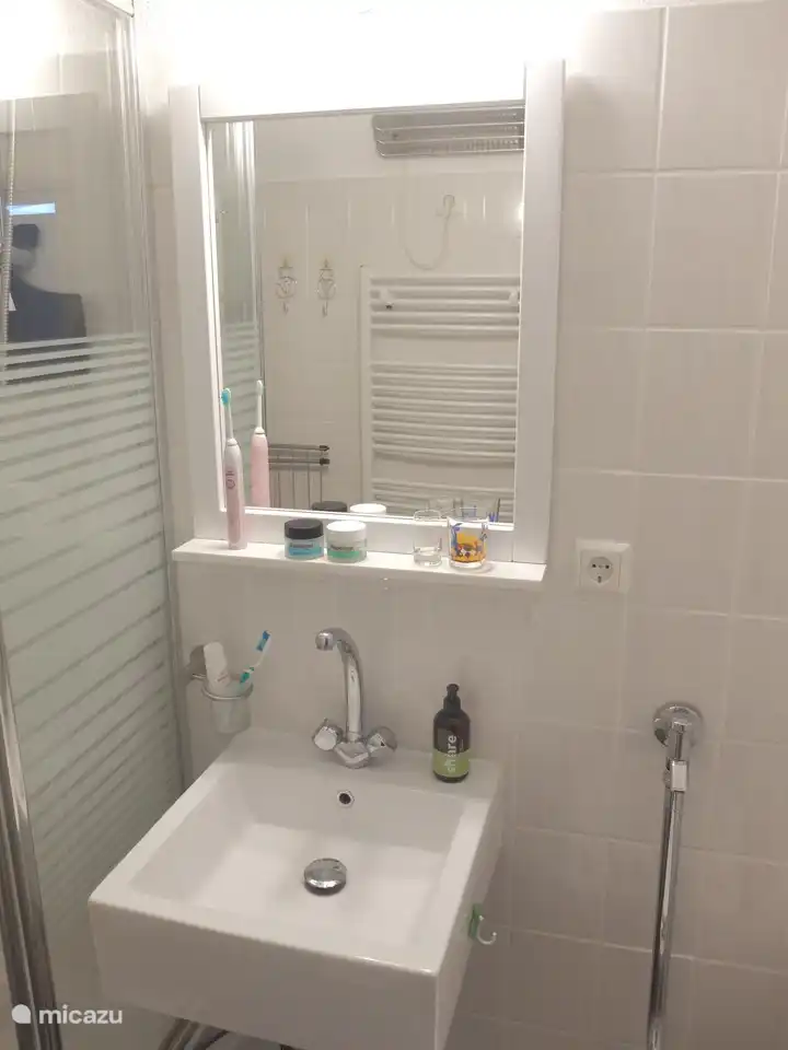 Badezimmer mit Dusche