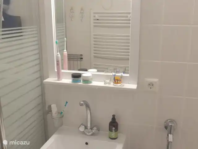 Location de Vacances Allemagne, Sauerland, Husen - Lichtenau, bungalow - Chalet Dalzicht Salle de bain avec douche