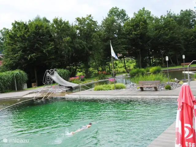 Location de Vacances Allemagne, Sauerland, Husen - Lichtenau, bungalow - Chalet Dalzicht Piscine naturelle à 2 km avec eau de la rivière Altenau