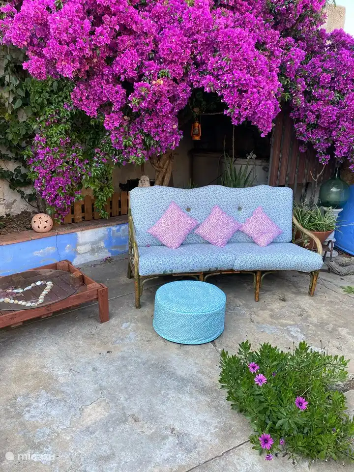 Eine schöne Ecke unter der Bougainvillea