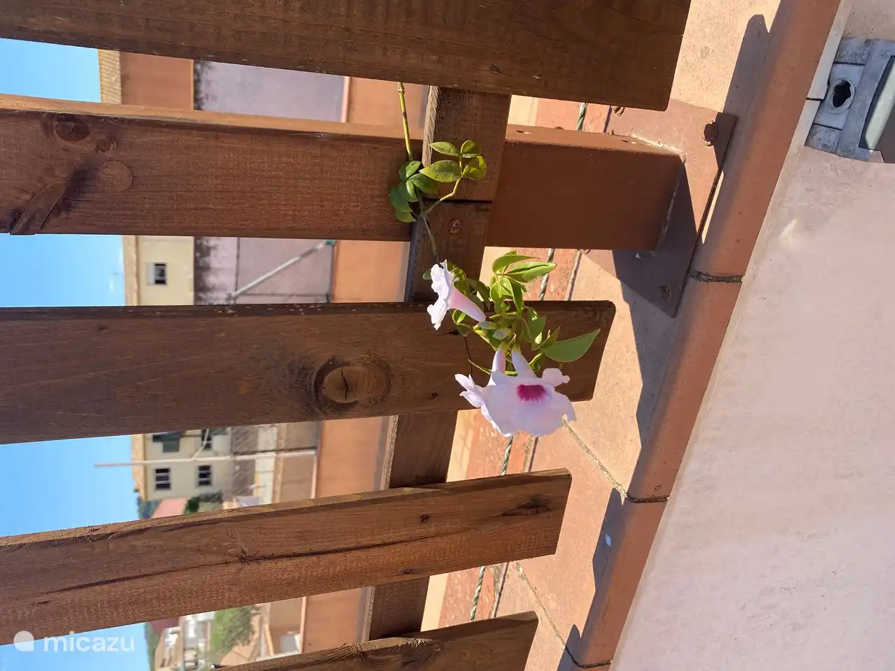 Privatsphäre der Terrasse