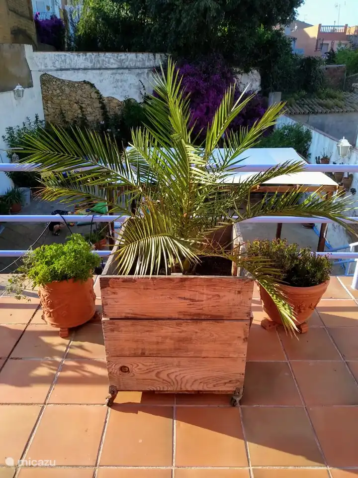Die Terrasse mit Blick auf den Innenhof