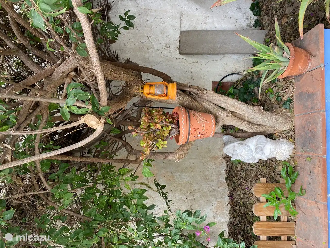 Eine der vielen Dekorationen des Patios