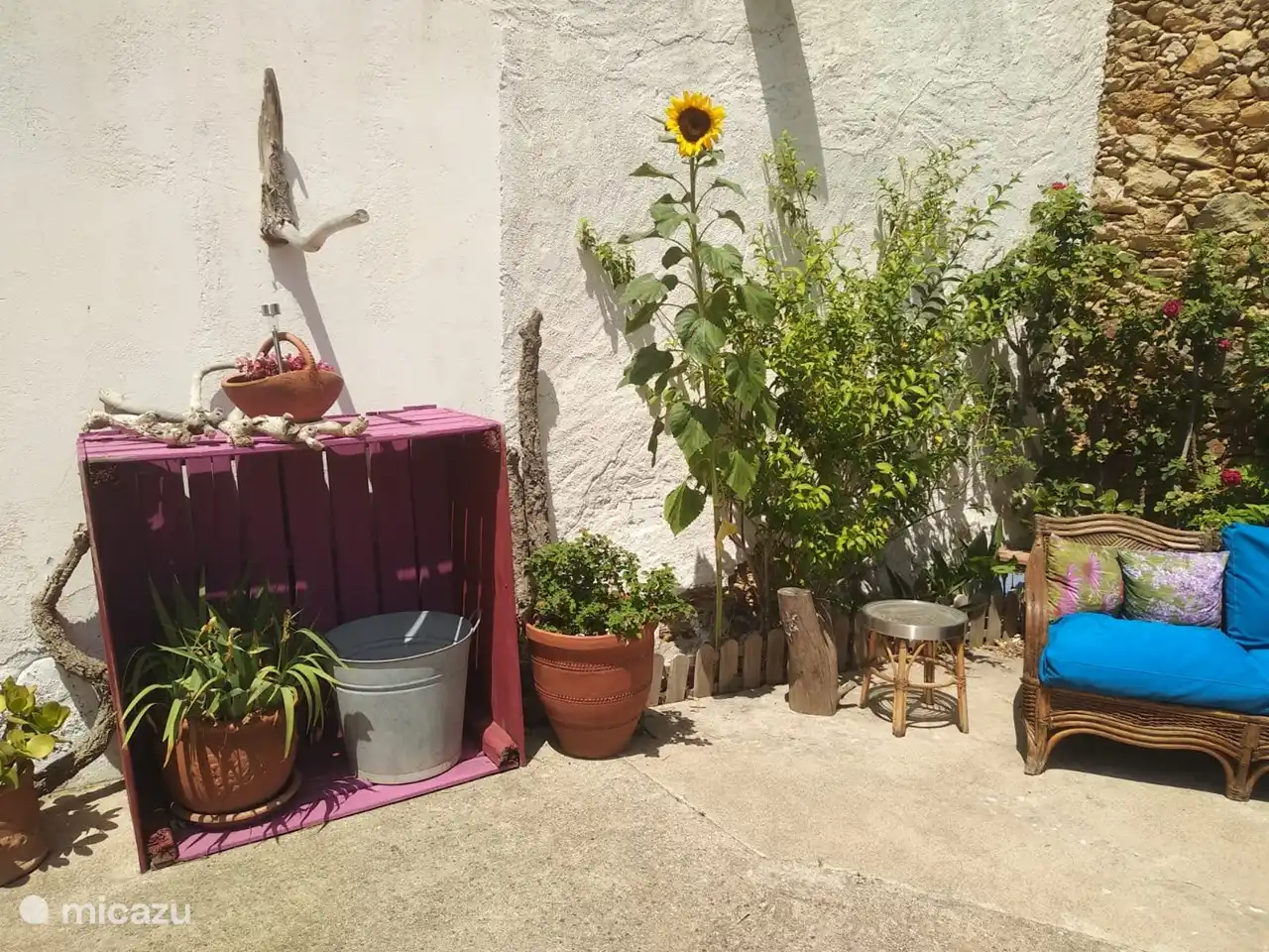 Patio mit Jasmin und Rosenbüschen