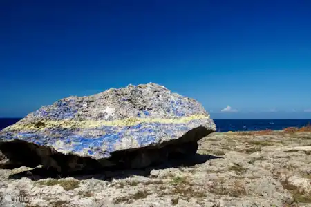 Parcs nationaux et côté sauvage de l'île