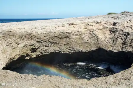 Parcs nationaux et côté sauvage de l'île