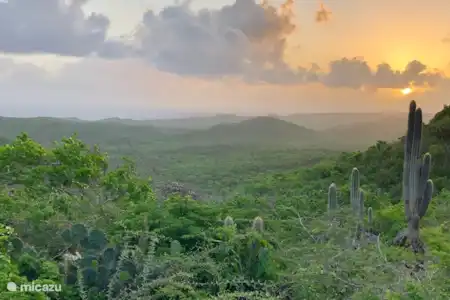 Parcs nationaux et côté sauvage de l'île