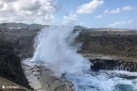 Parcs nationaux et côté sauvage de l'île
