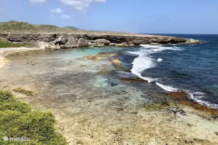 Parcs nationaux et côté sauvage de l'île