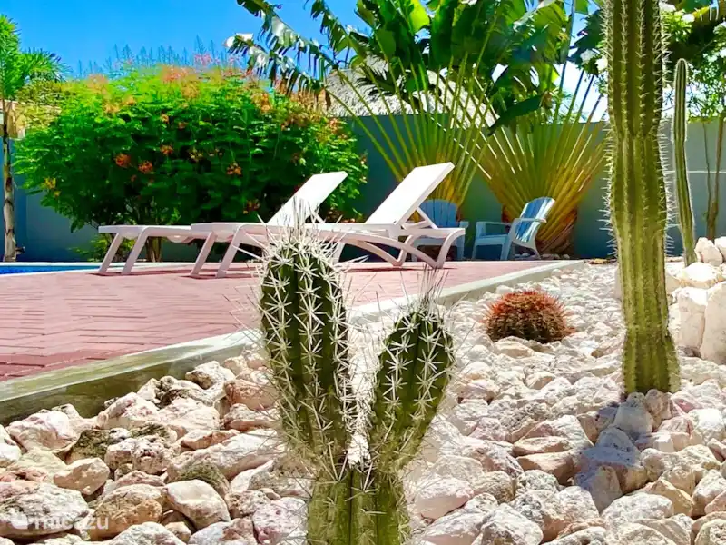 Kas Bisento avec piscine privée | Curaçao, Banda Abou (ouest), Fontein - Maison de vacances Kas Bisento avec piscine privée | Curaçao, Banda Abou (ouest), Fontein - Maison de vacances