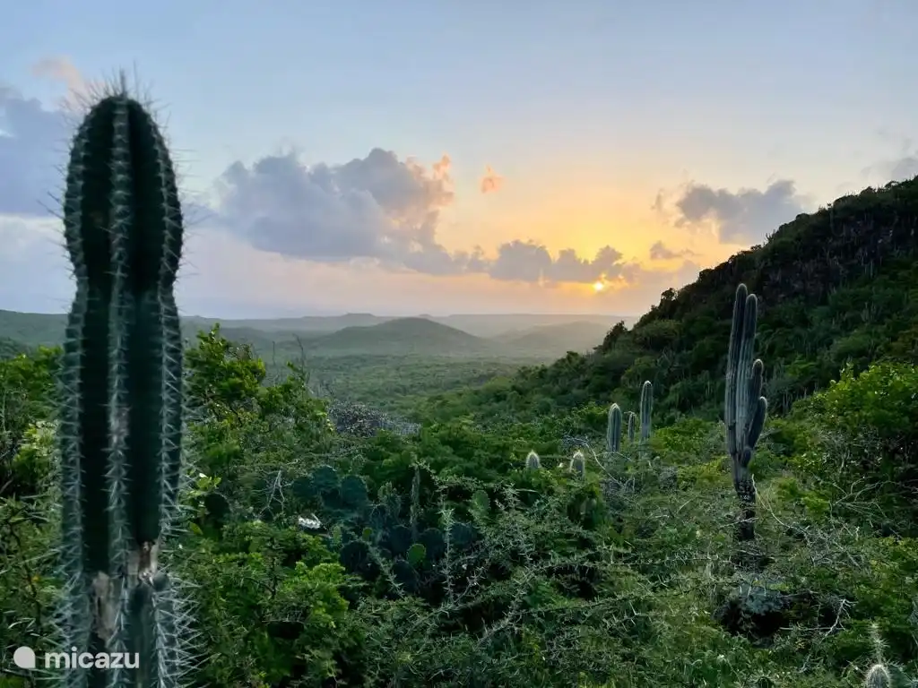 Lors de votre voyage au sommet du Christoffelberg, vous aurez droit à de belles vues ??