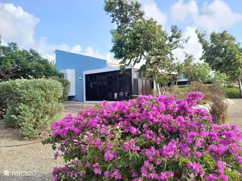 Blue Bay Indigo Garden huren in Curaçao, Curacao-Midden, Blue Bay - Villa Blue Bay Indigo Garden huren in Curaçao, Curacao-Midden, Blue Bay - Villa