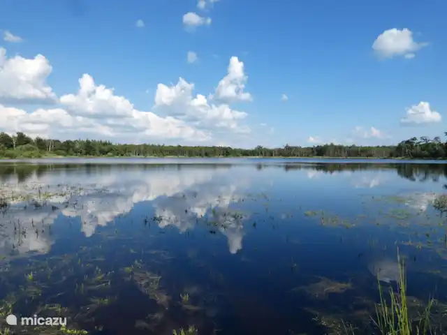 tiny house huren in Nederland, Noord-Brabant, Baarle-Nassau – Logeersuite Omgeving