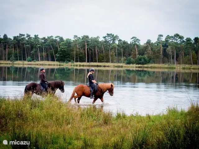 tiny house huren in Nederland, Noord-Brabant, Baarle-Nassau – Logeersuite Omgeving